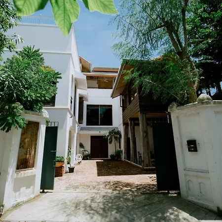 Mammoth Art Studio Pool Villa In Old City